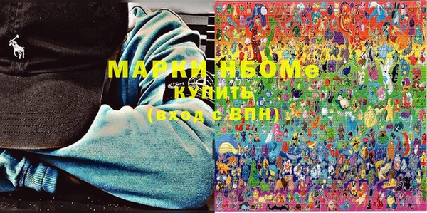 индика Бородино