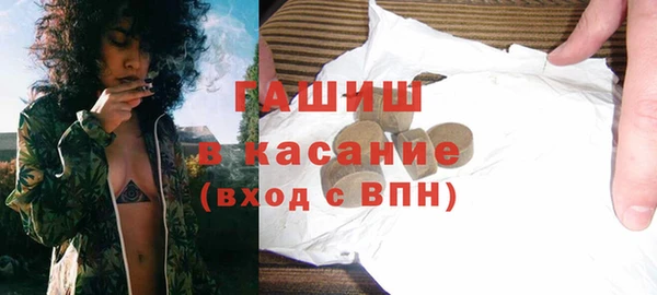 индика Бородино