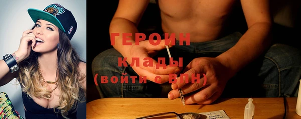 индика Бородино