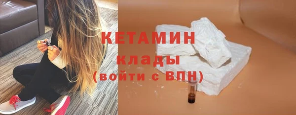 индика Бородино