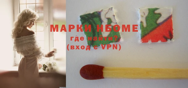 индика Бородино