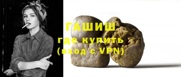 индика Бородино