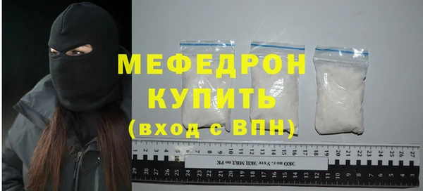 индика Бородино