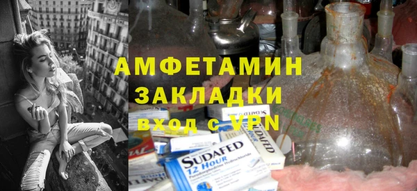 индика Бородино