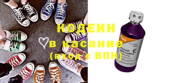 индика Бородино