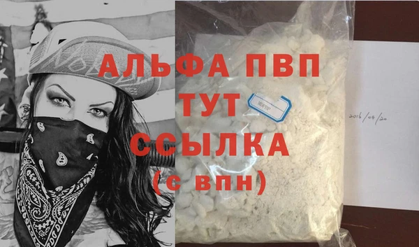 индика Бородино
