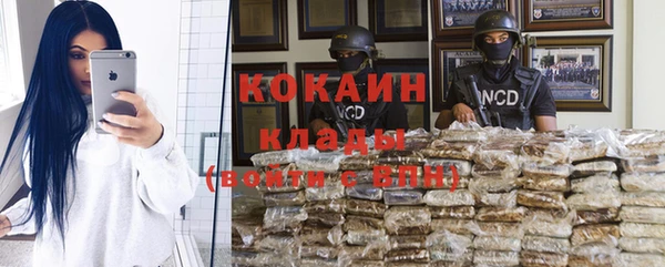 индика Бородино