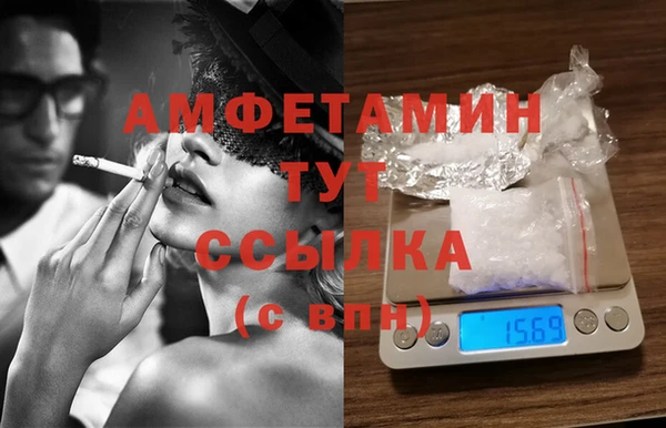 индика Бородино