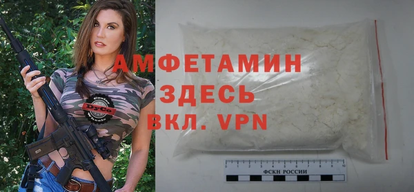 индика Бородино
