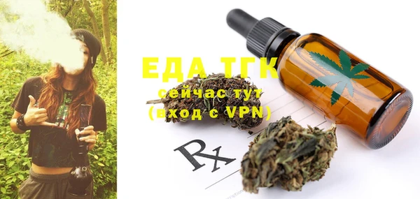индика Бородино