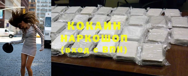 индика Бородино