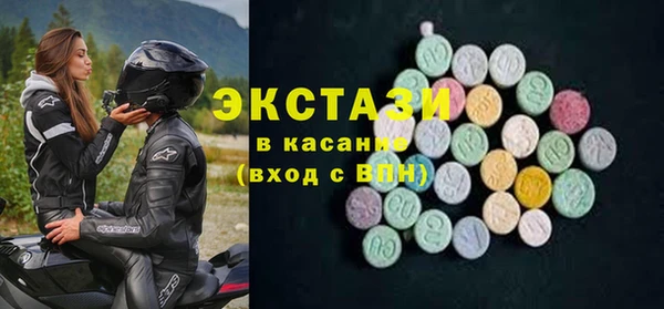 индика Бородино